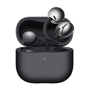 TWS Earbuds